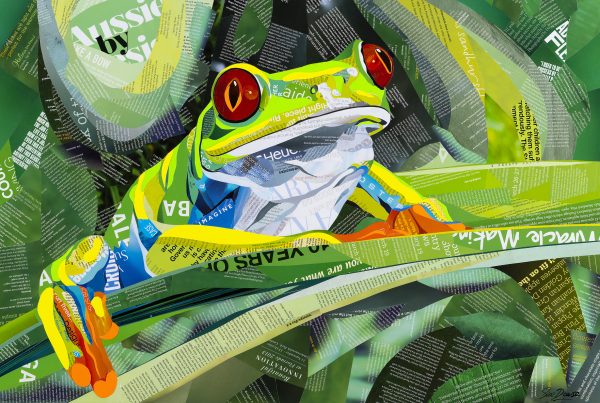 Sue Dowse Red Eyed Tree Frog Primary2