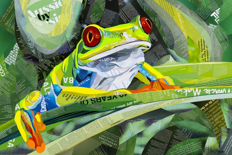 Red-Eyed Tree Frog – Original Collage