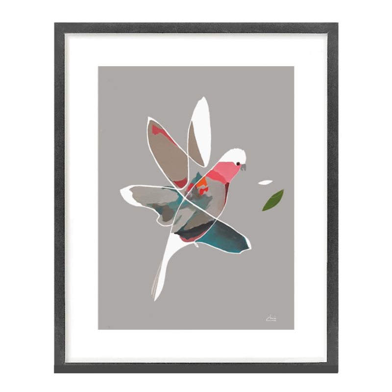 True Motion Galah I Whiteline