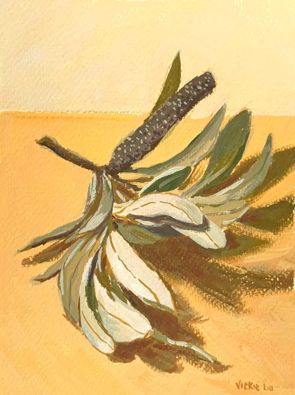 Vickie Liu Banksia And Leaves On Orange Study