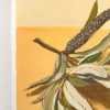 Vickie Liu Banksia And Leaves On Orange Study Painting Detail