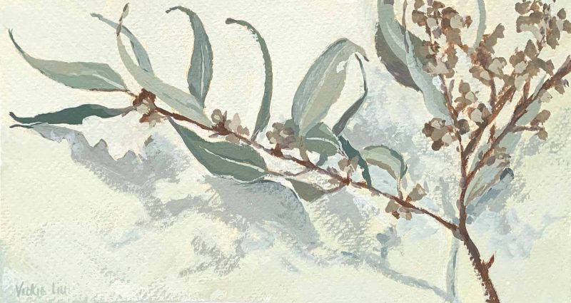 Calm Little Gum Leaves Study