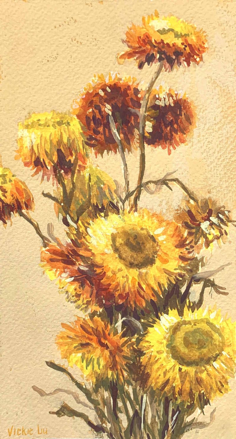 Golden Everlasting Flower Study