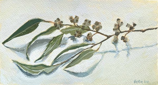 Vickie Liu Rainy Day Gum Leaves