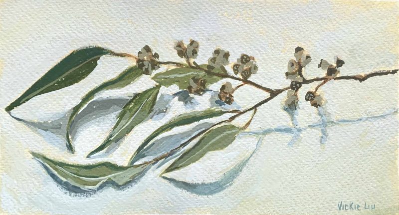 Rainy Day Gum Leaves