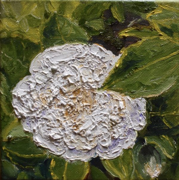 Cgf2t4berzyrnt957lluhw Thumb 2db3