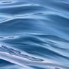 Close Up Ocean Surface Alanah Jarvis