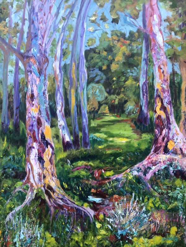 Gum Trees By The Creek