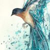 Sydney Artist Leni Kae Small Swallow A5 Work On Paper