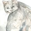 Sydney Artist Leni Kae The Grey Cat Closeup Watercolour On Paper