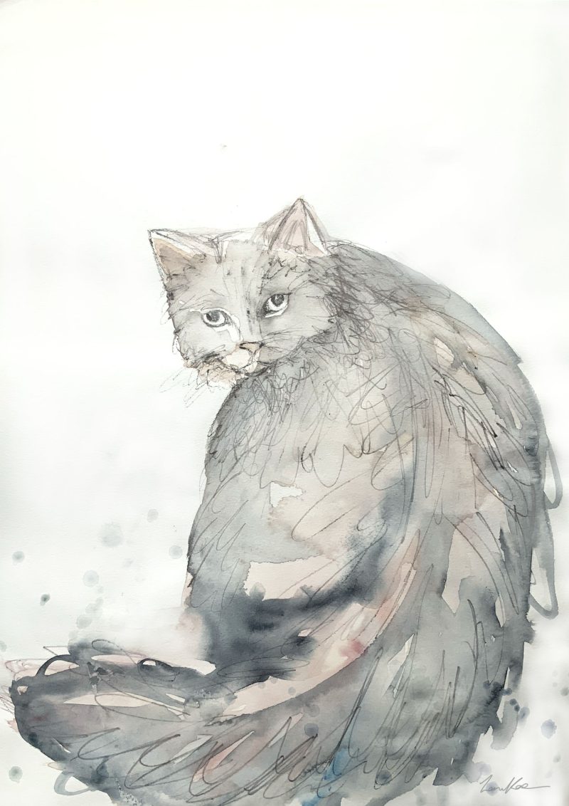 The Grey Cat