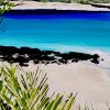 Through The Trees Little Cove Beach Noosa Songbird Designz Deborah Lang Beach Bay Beachscene Canvas Wall Art Contemporary Coastal Style 4