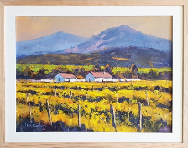 22 Fleeting Light Framed