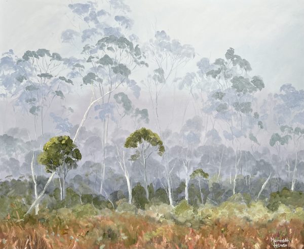 Ancient Land, Tasmania By Meredith Howse