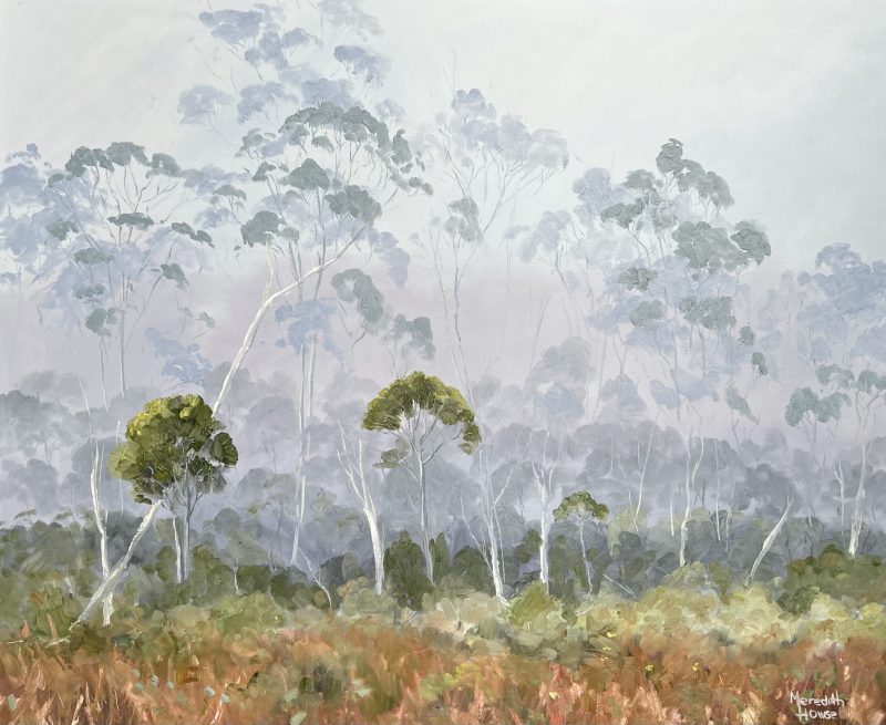 Ancient Land, Tasmania