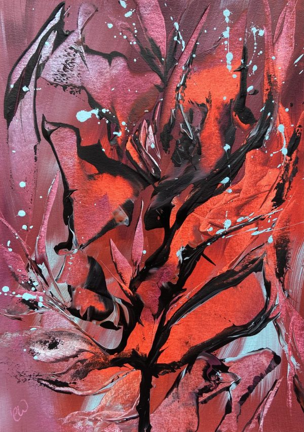 C2faf2cd 370c 4231 B06a 5ace86bb66bc