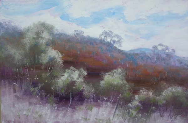 Colors Of The Outback