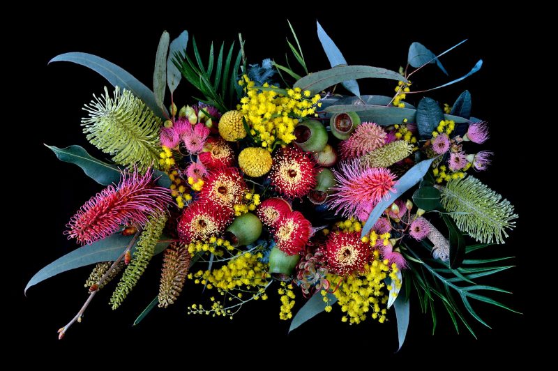 Colores Nocturno Ltd Ed Print