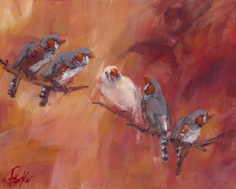 Standout – Zebra Finches – Ltd Ed Print