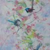 Fairy Wrens 2