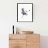 Truemotion Kookaburra I Small Cabinet Copy