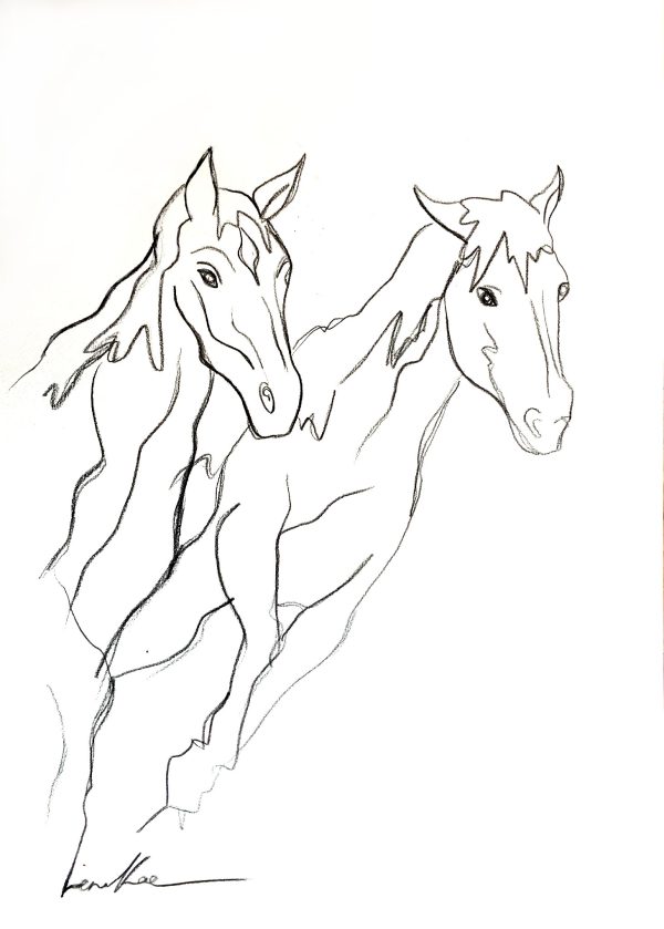 Sydney Artist Leni Kae Wild Horses In The Wind Line Art Drawing (1)