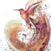 1.sydney Artist Leni Kae Hummingbird Heart Original Wateroclour Painting On Paper A3