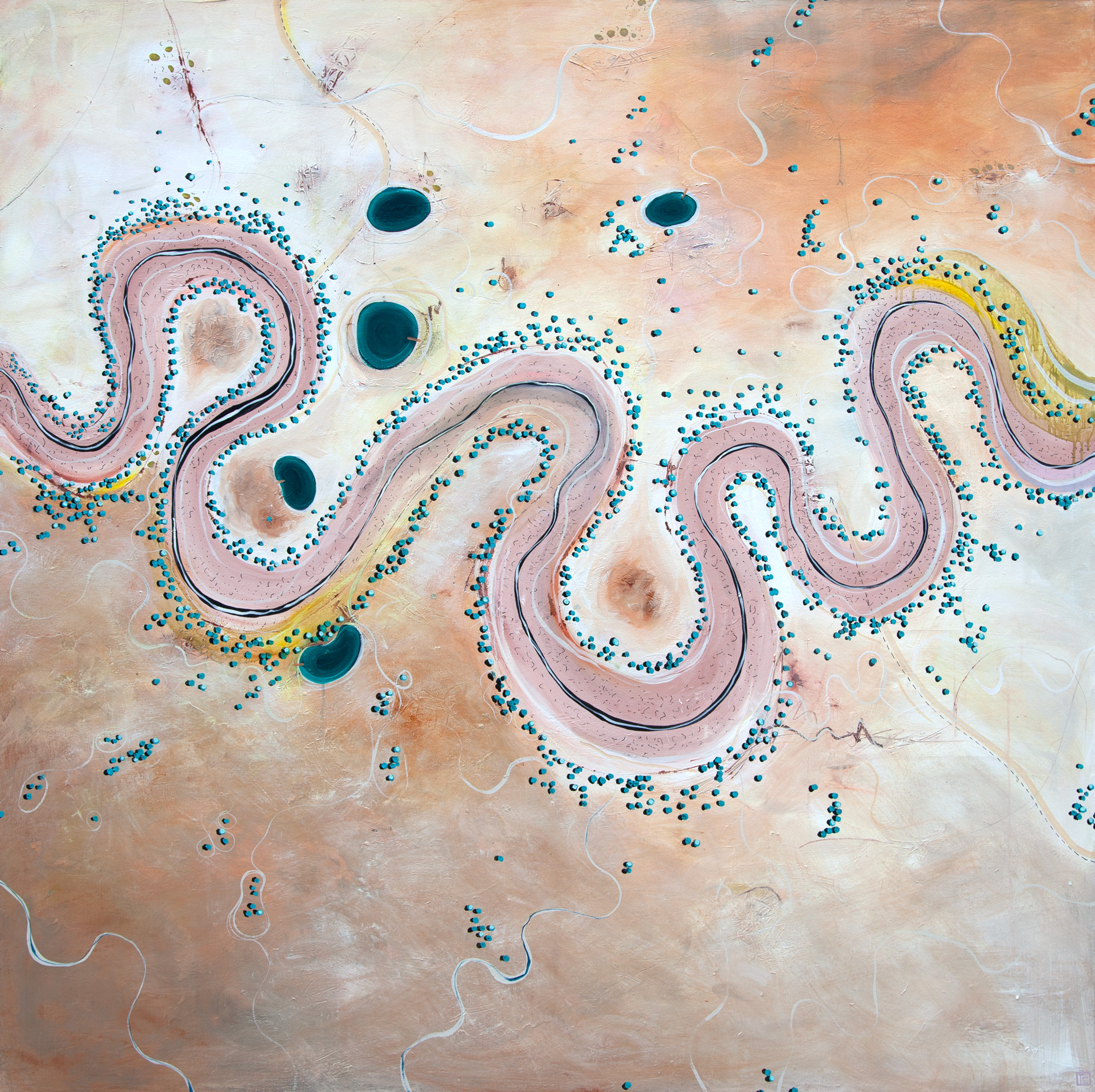 Tania Chanter Meandering Through The Salty Plains