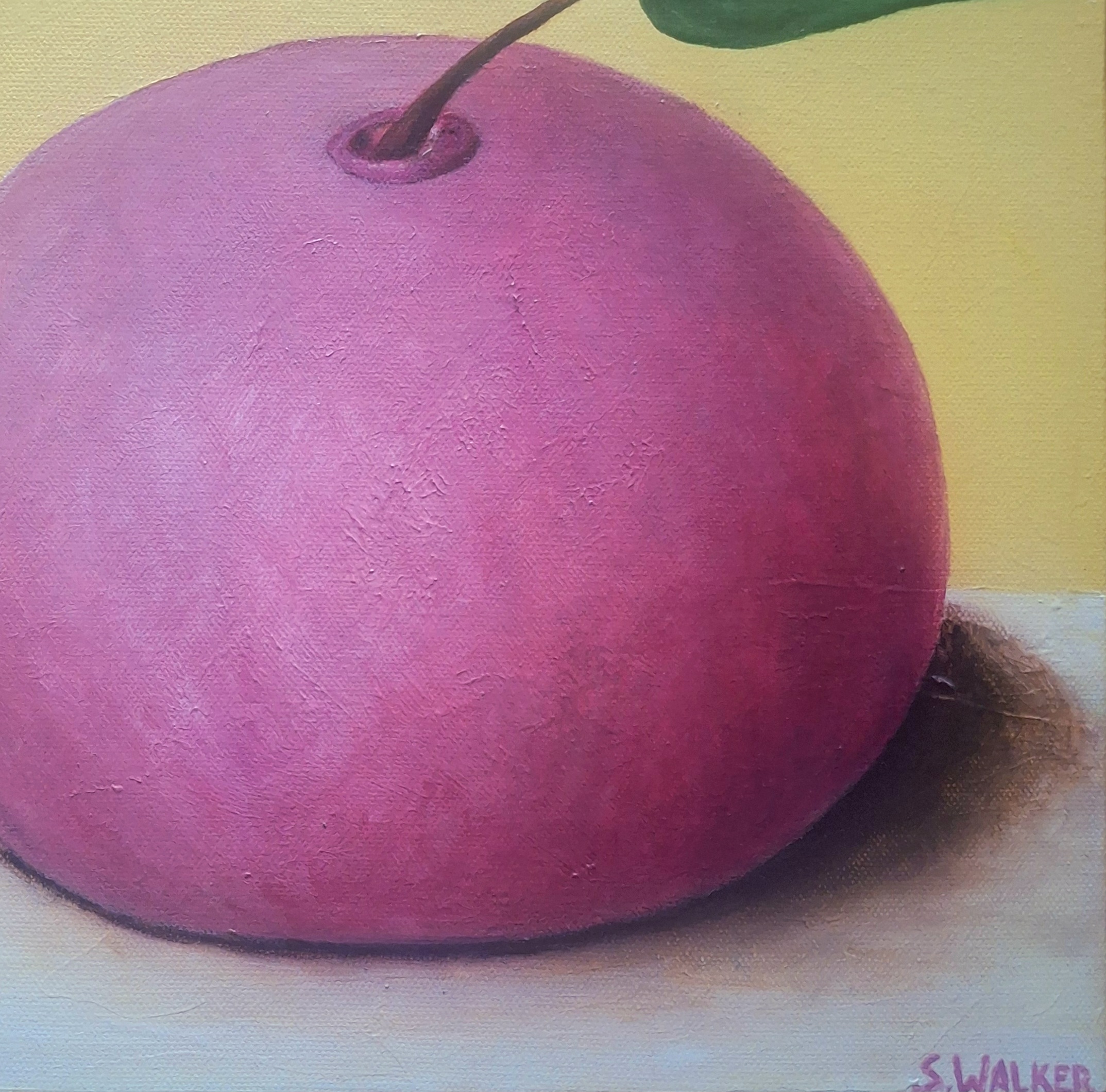 Sarah Walker Playtime Art Lovers Australia