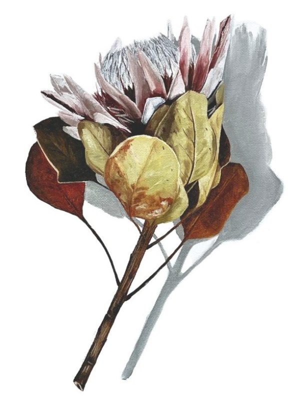 20220824 060111119 Ios