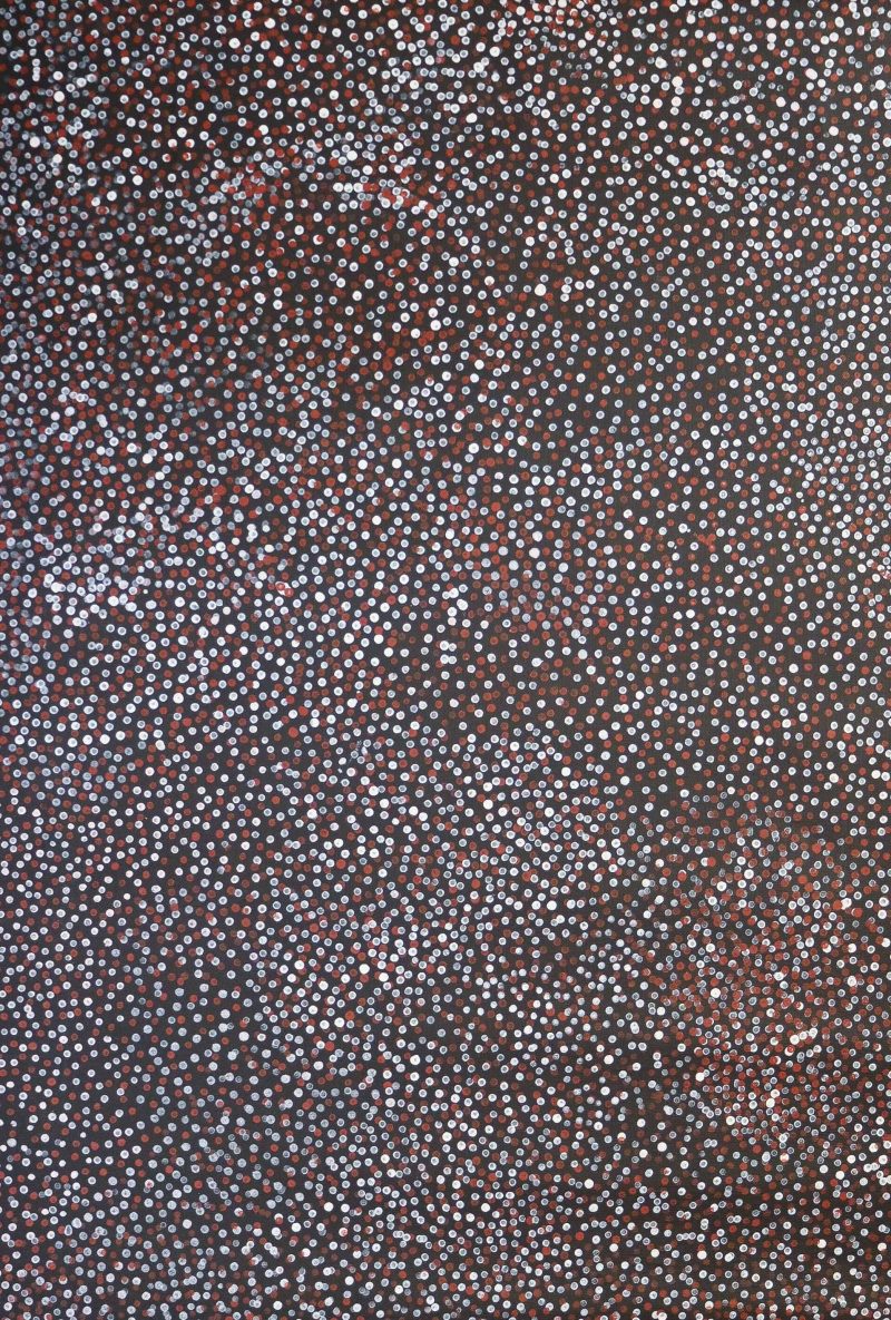 Arthur Roughsey Rainbow Serpent Scales N0 8947-14