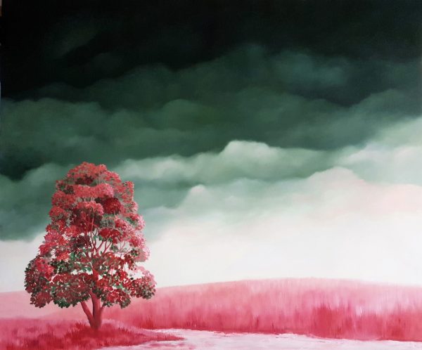 A New Horizon Lucinda Leveille