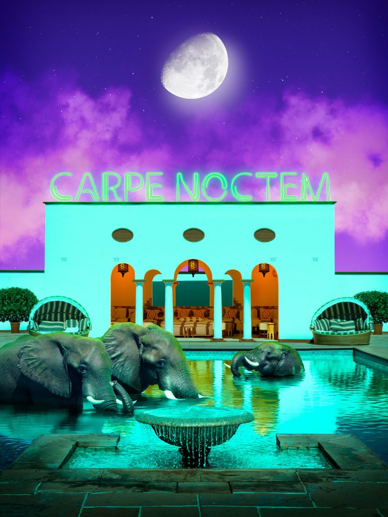 Africa Iii Carpe Noctem 2000px 800x1067