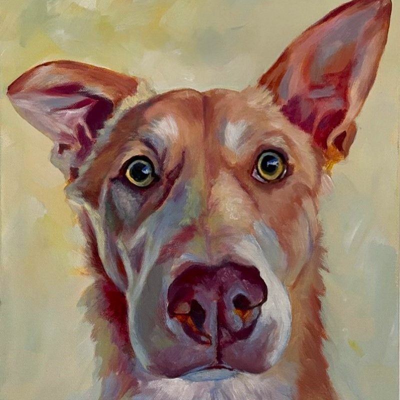 Animal art Instincts Discover Animals In Art With Art Lovers Australia