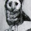 Barn Owl 2