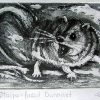 Etching Stripe Faced Dunnart Sm