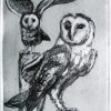 Etching. Barn Owls Sm