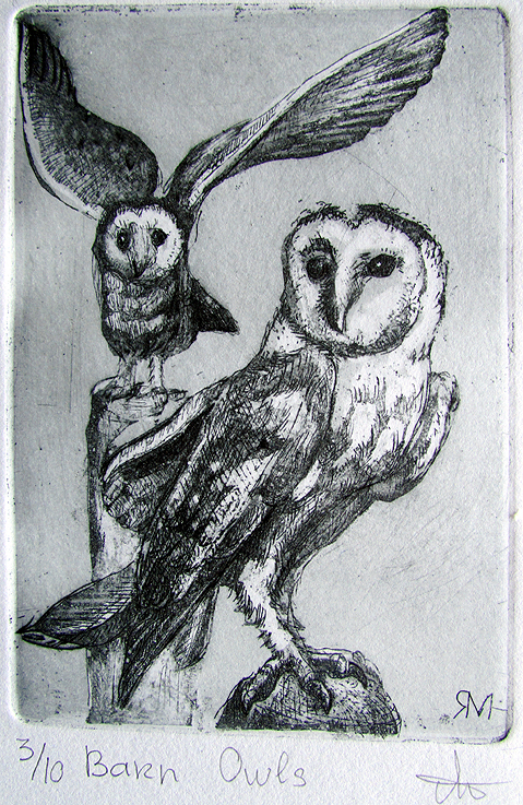 Barn Owls  - Etching - Ltd Ed Print