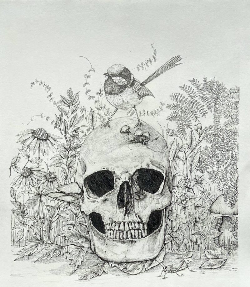 Skull and Wren