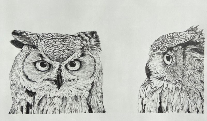 Twin Owls
