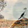 Lyn Graham Cormorant Watercolour On Cotton Paper 42 X 29.5