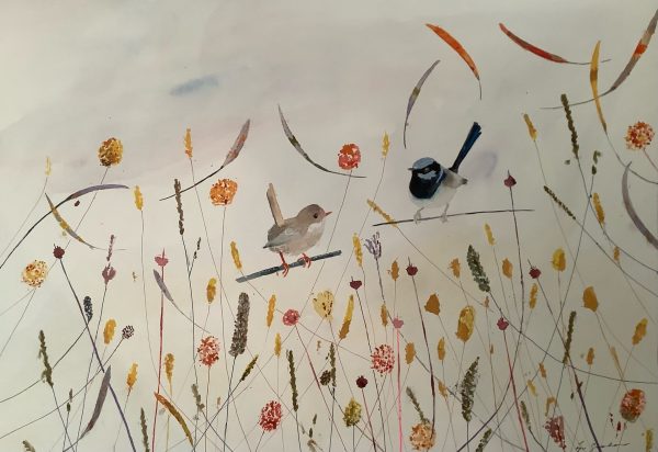 Lyn Graham Fairy Wrens 1 Watercolour On Cotton Paper 59.5 X 41.5