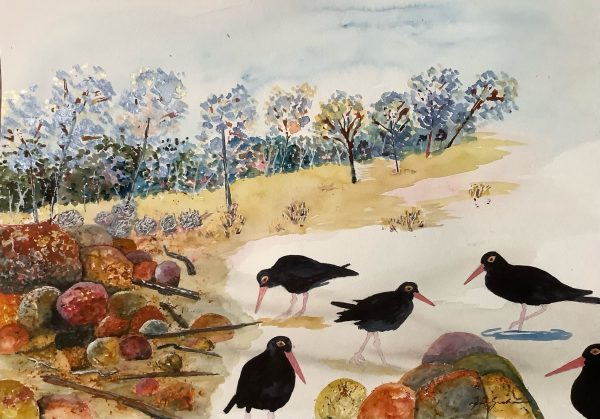 Lyn Graham Oystercatchers 1 Watercolour On Cotton Paper 42 X 29.5