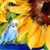 Sunflower And Budgie Closeup Web