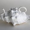 Triton Shell Teapot 1 Carol Forster Art Lovers Australia
