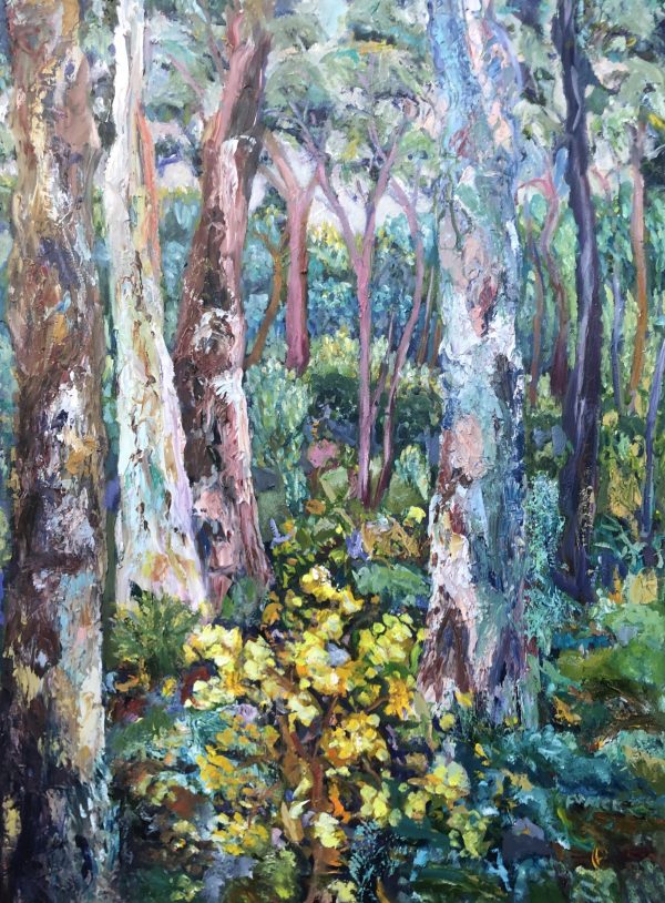Eucalyptus And Wattle
