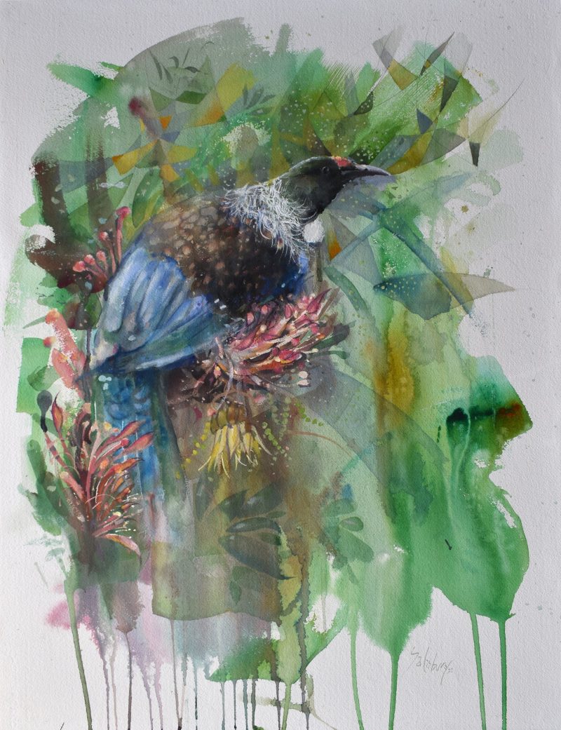 Ngā Tūī. The beautiful honeyeater