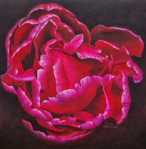 Ab7610be 2ddc 40d5 9c36 6270c88036ae