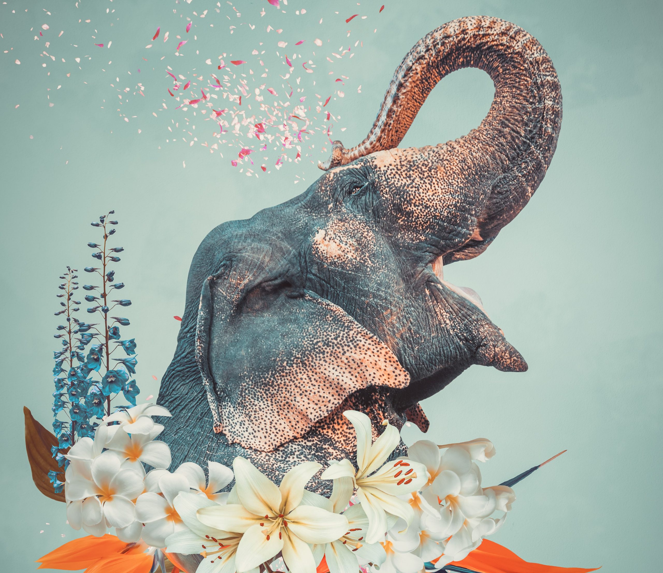 Ala Kids Workshop Poster Rgb 2