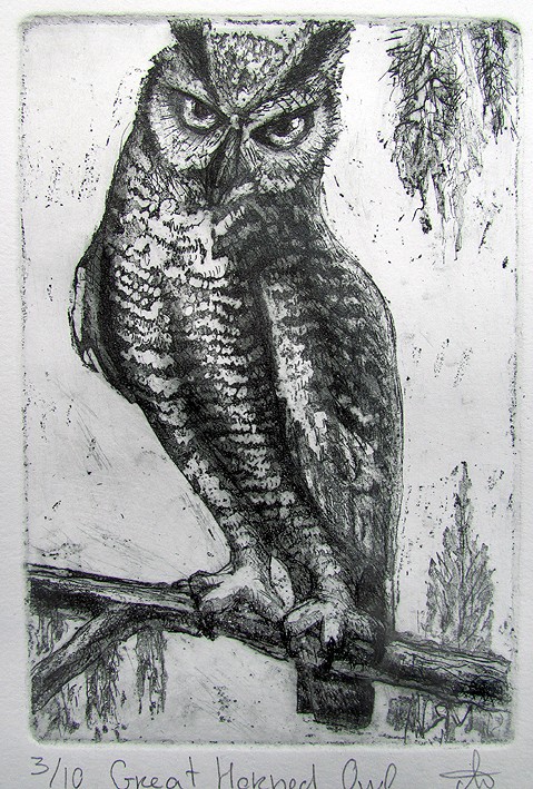 Great Horned Owl  – Etching – Ltd Ed Print